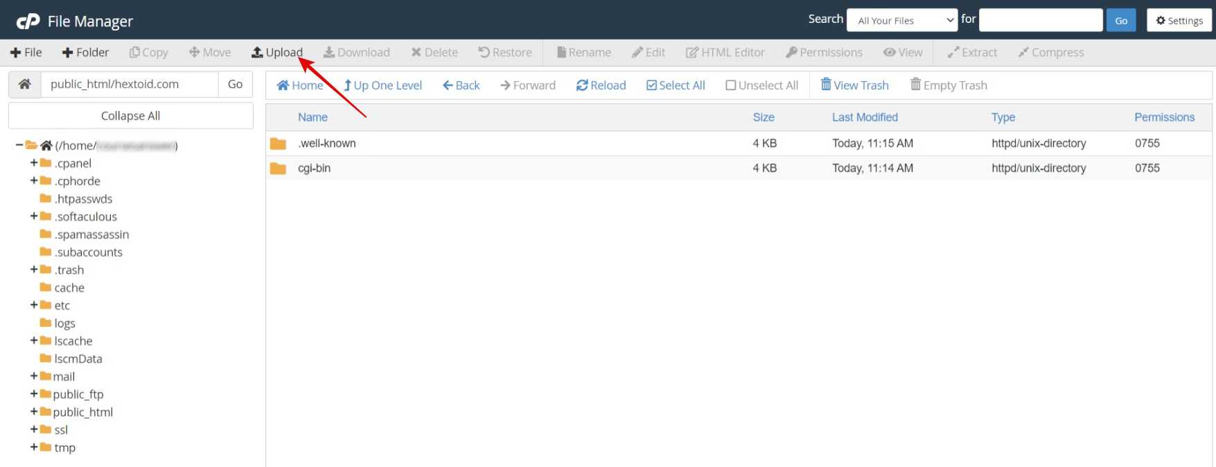 Open the domain folder if multiple sites are hosted (main domain will be available in public_html) > Upload