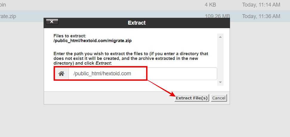 Extract the zip file in domain folder
