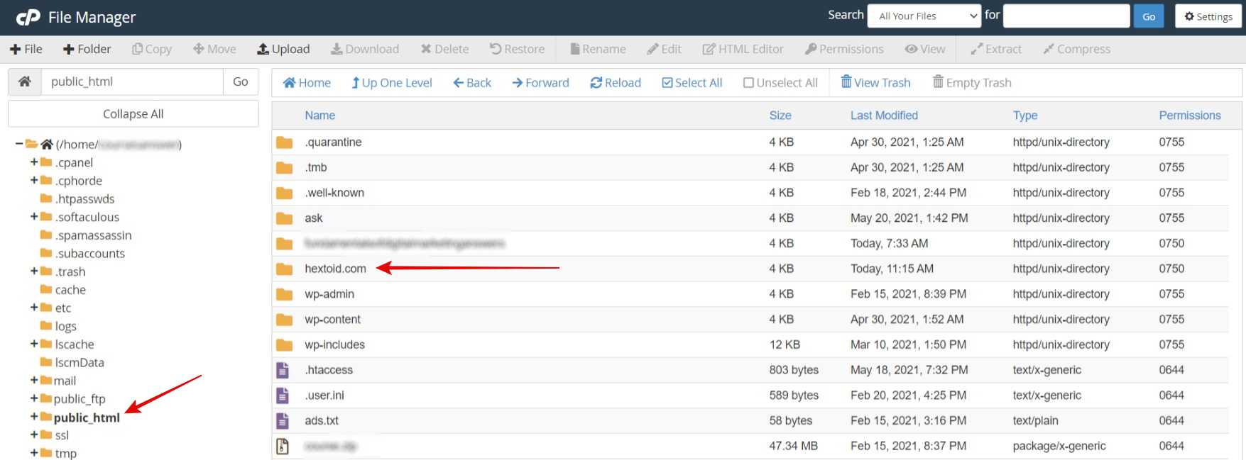 Open the domain folder if multiple sites are hosted (main domain will be available in public_html)